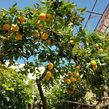 Appartamento La Follicara